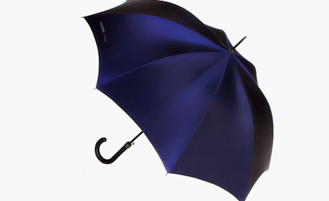 誕生日プレゼントにrenoma (レノマ)の傘